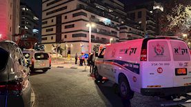 צילום: ארכיון דוברות זקא